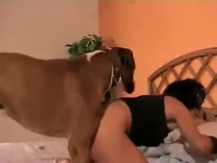 In this high-quality episode of Dilettante Brute Fucking, a dark brown cougar fucks her big dog.
